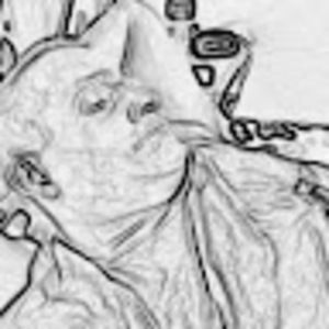 Meet your Posher, Maureen